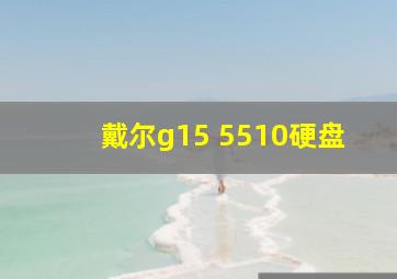 戴尔g15 5510硬盘